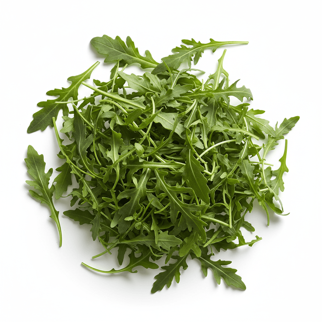 Fresh arugula leaves on white background