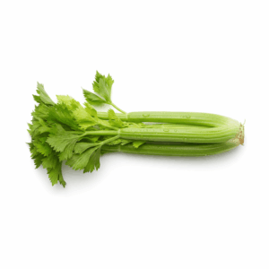 Fresh celery stalks on white background