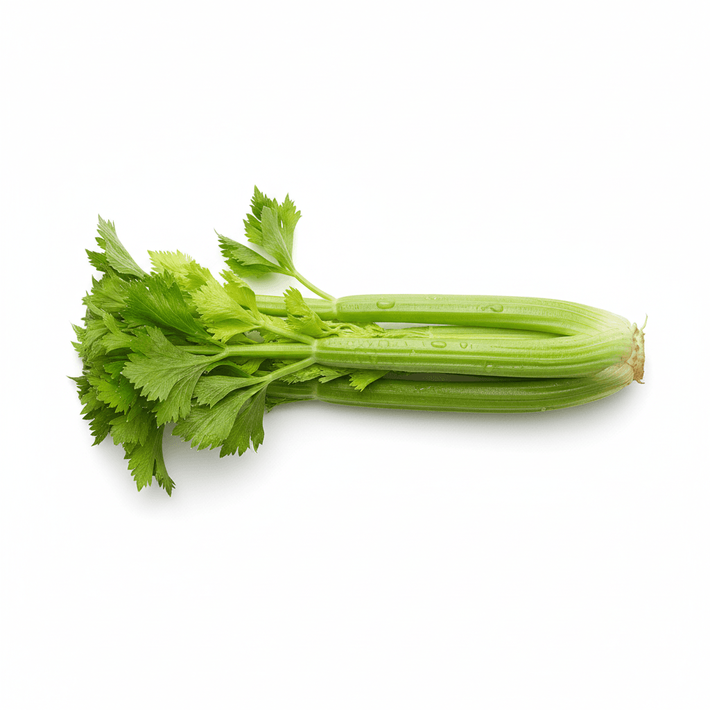 Fresh celery stalks on white background