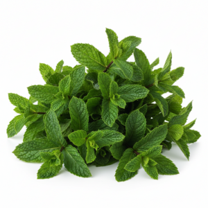 Fresh Mint on white background